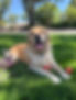 IMG_0635.jpeg