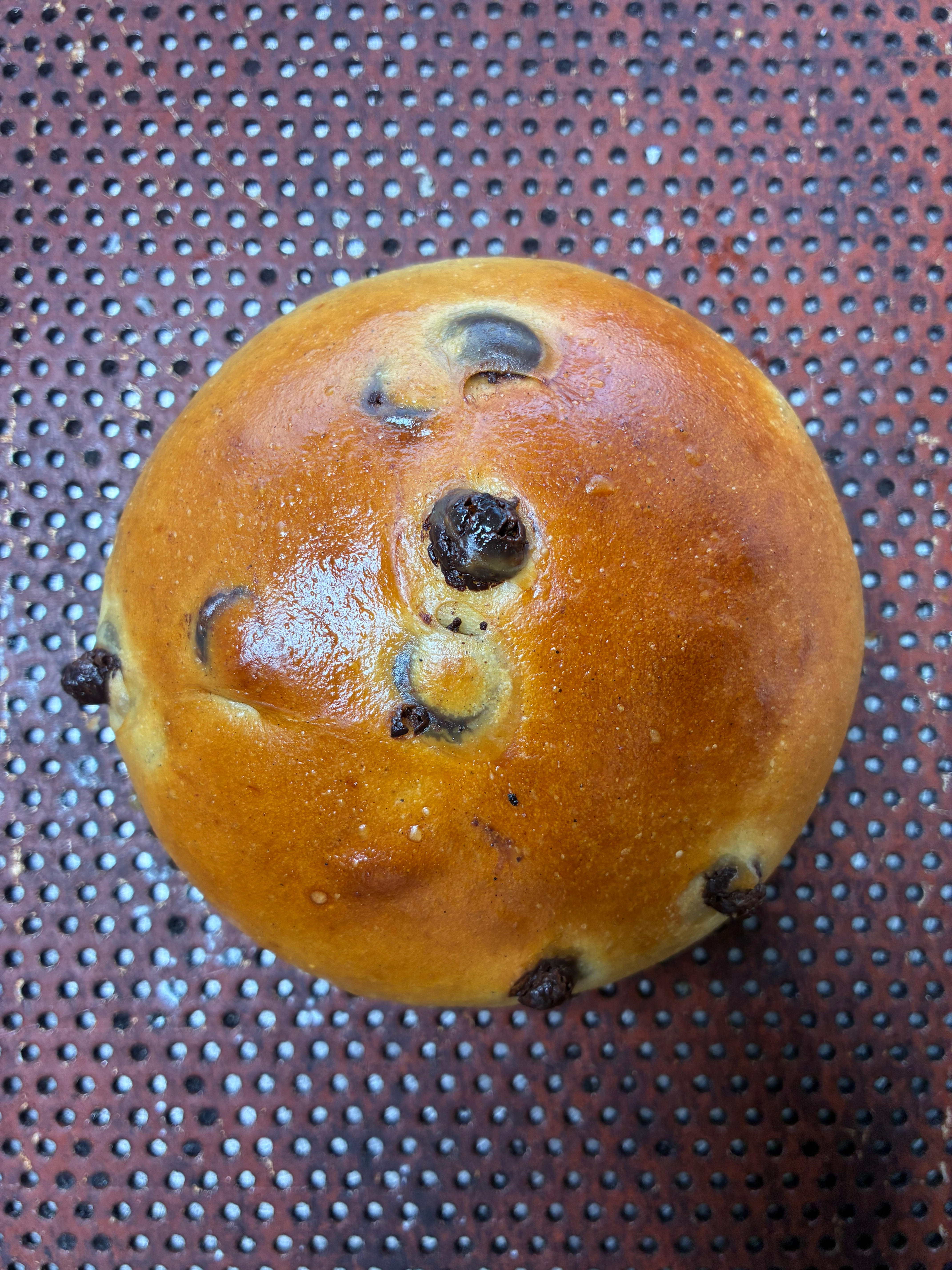 Sjokladebolle