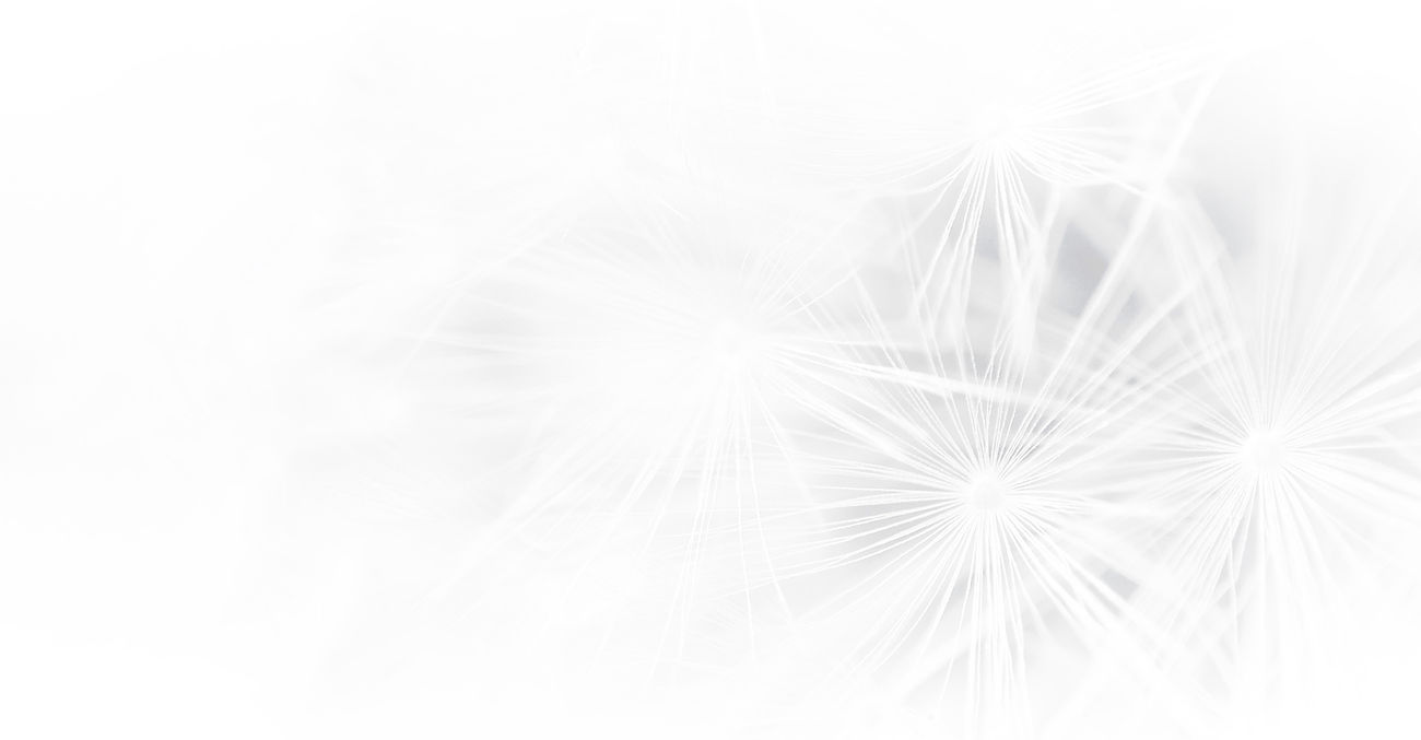 logopädie lojewski goslar hintergrund pusteblume_zuschnitt_edited.jpg