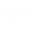 iso blanco transparente.png
