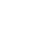 iso blanco transparente_edited.png