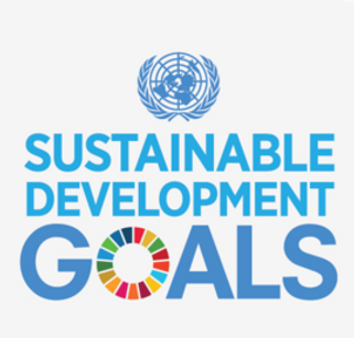 269px-UN_SDG_Logo.png