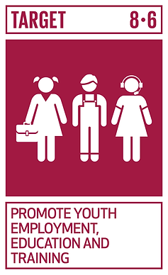 GOAL_8_TARGET_8.6.png