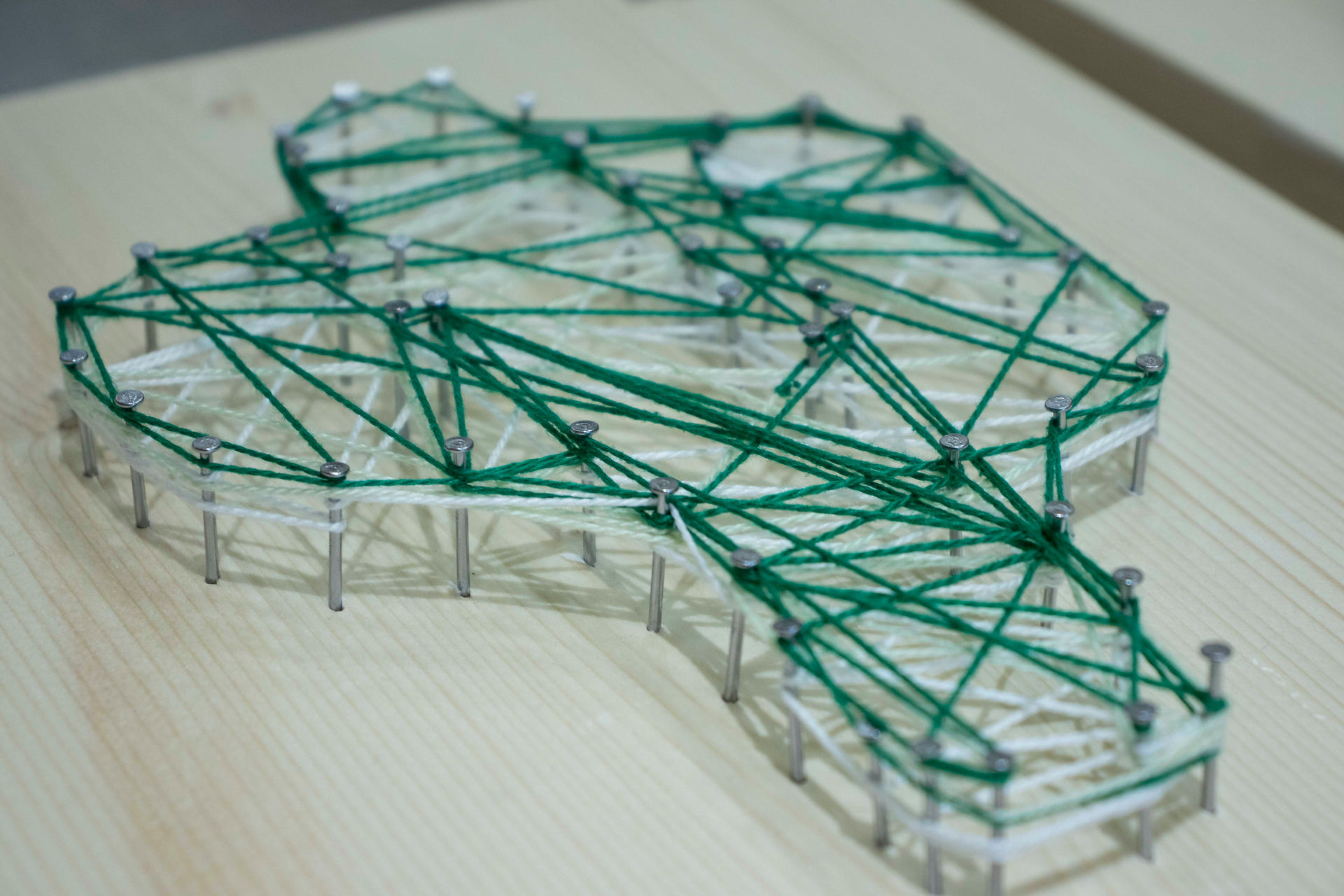 Close up of cactus string art, white and green.