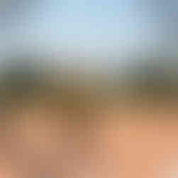 Meeker softball player #22 hits the ball.