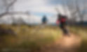 Mountain bikers ride trail, trees in background
