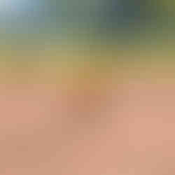 Meeker's pitcher pitching during the tournament.