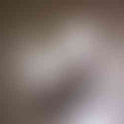 2024 Scottie Aschermann Memorial Seasonal Championship Trophy 2024