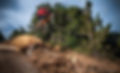 Mountain biker soaring over rock, forest trails