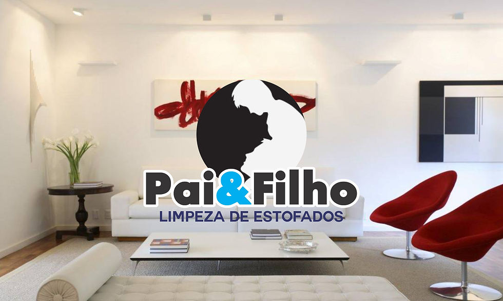 Limpeza de Estofados.