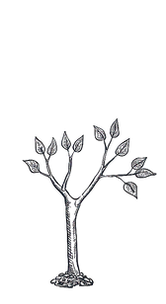 iStock-1076954430_edited.png
