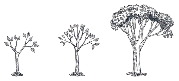 iStock-1076954430_edited.png