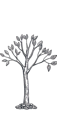 iStock-1076954430_edited.png