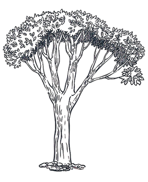 iStock-1076954430_edited.png