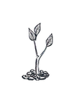 iStock-1076954430_edited.png