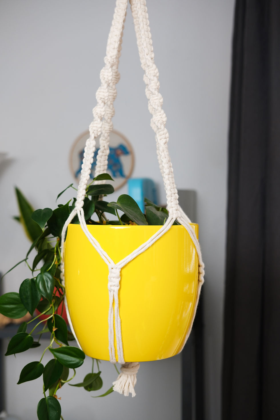 Thumbnail: Macrame Plant Hanger |  Boho Home Decor