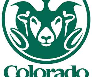Rho%20Chapter%20-%20CSU_edited.png