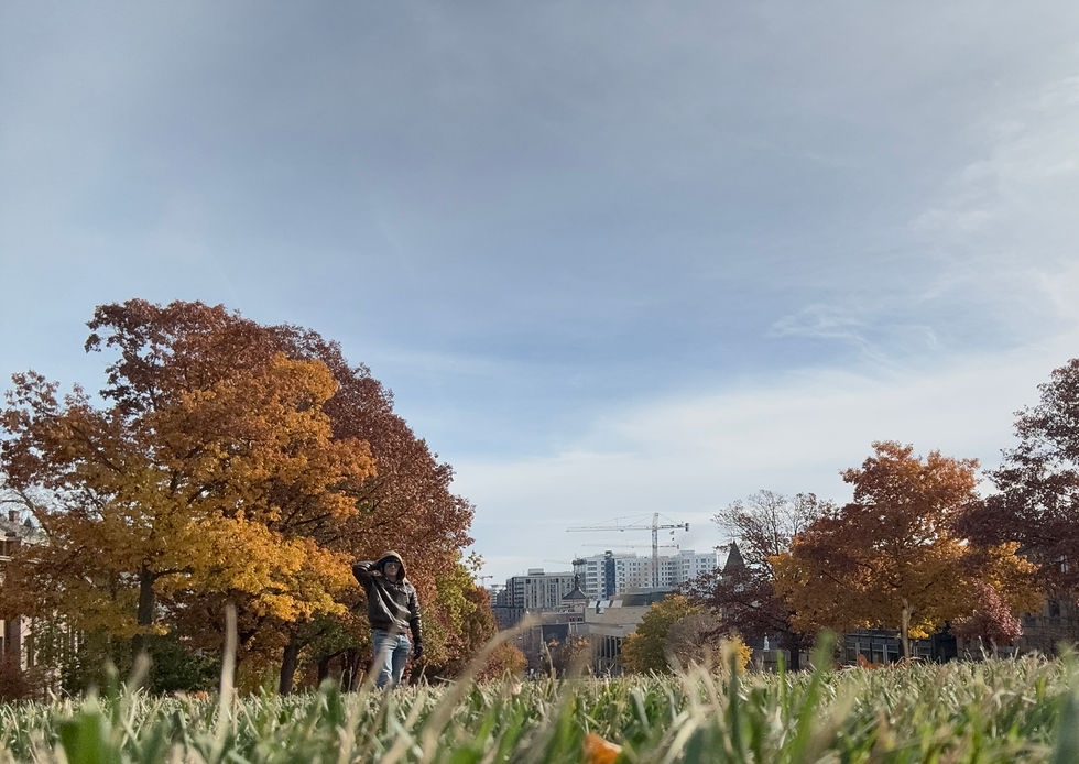 Trying to capture the Madison skyline