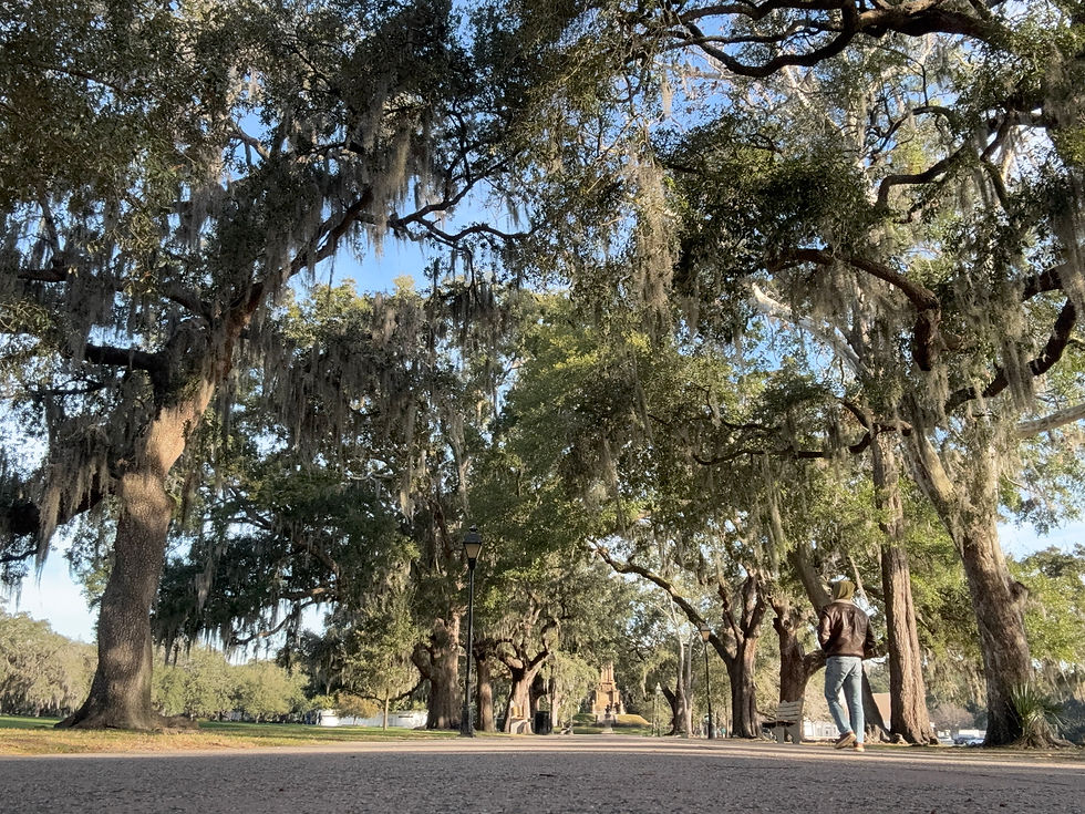 Beginning my exploration of Forsythe Park