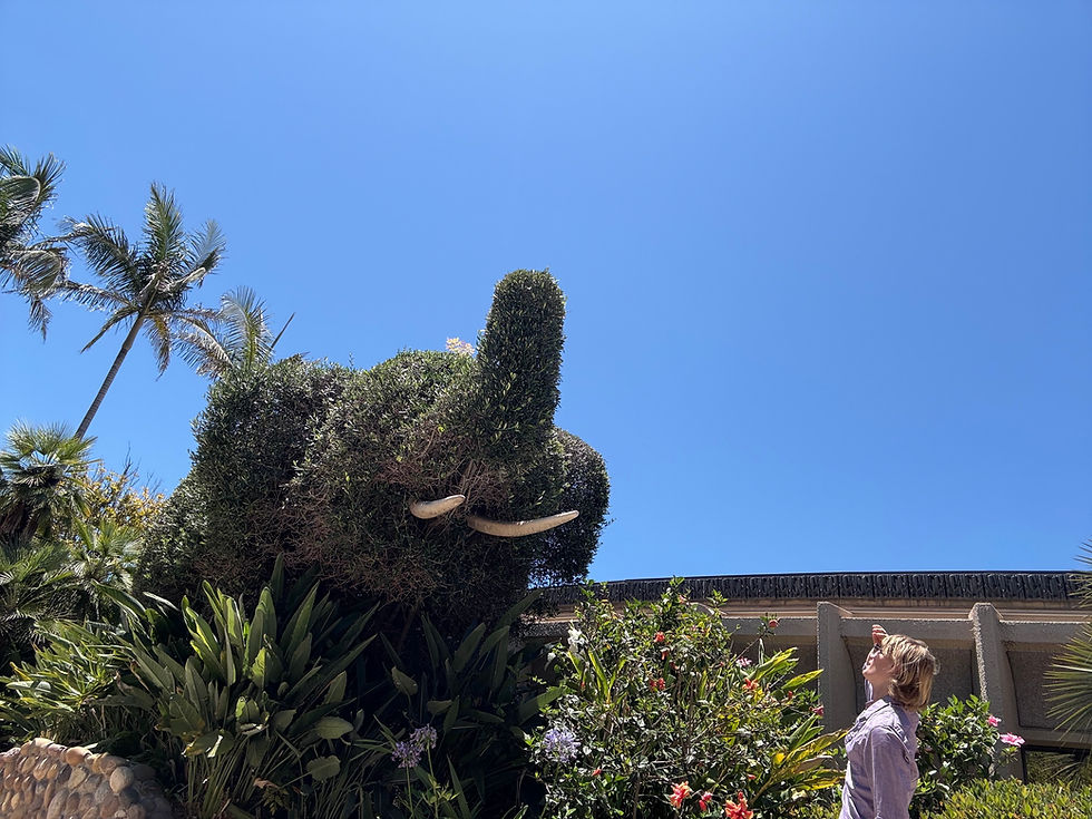 I stood here for about ten minutes, but for some reason the elephant didn't move. Maybe it was sleeping