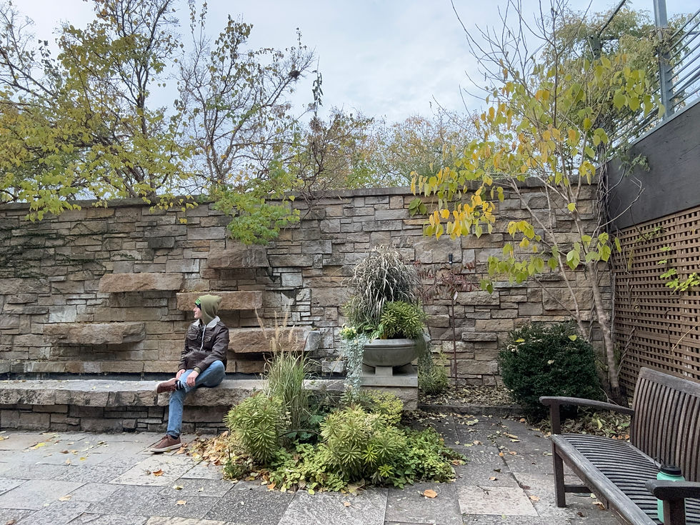 Really appreciating this courtyard in the Olbritch Gardens