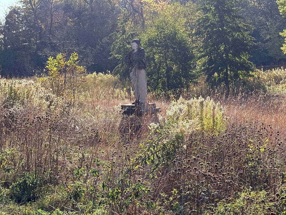 Interesting abandoned statue of Henry Wadsworth