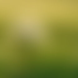  從「變動星座」看教育與學習