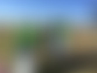 AMA Stays Busy in November!