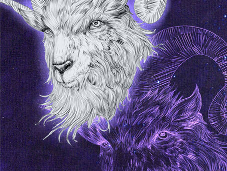 Zodiac Twelve Graphic study