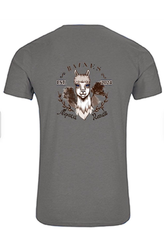 Bella + Canvas® Ultra-Soft Jersey Unisex T-shirt