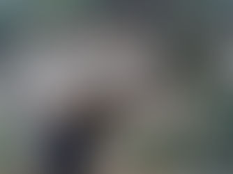 Excursió a les Estunes de Banyoles