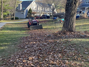 SPRING & FALL  CLEANUP