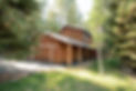 Peaceful%20Pines-HR_edited.jpg