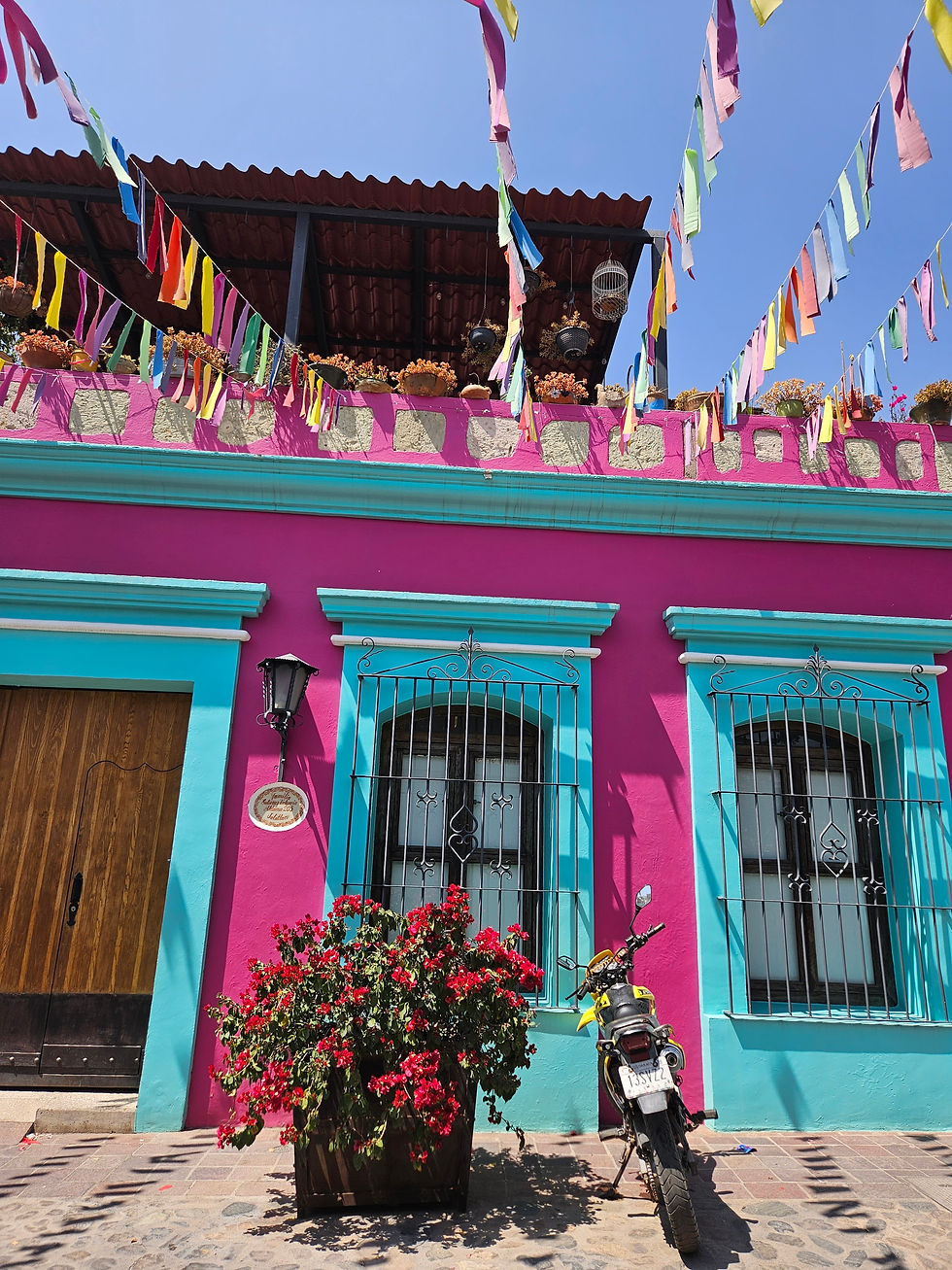 10 Tips for Visiting or Moving to Oaxaca, Mexico