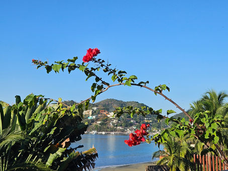 Why we decided NOT to move to Zihuatanejo, Mexico