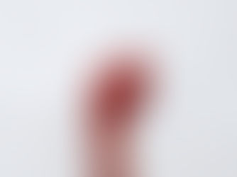 "Solculuk ve Sağcılık" Kavramları Nasıl Ortaya Çıkmıştır?