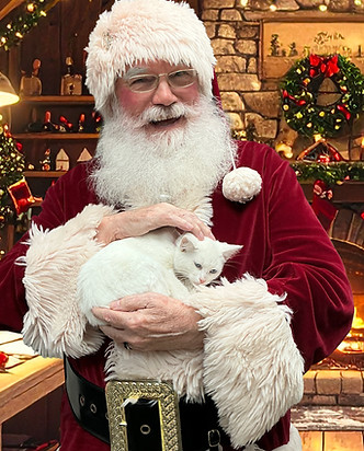 santa-kitten.jpg