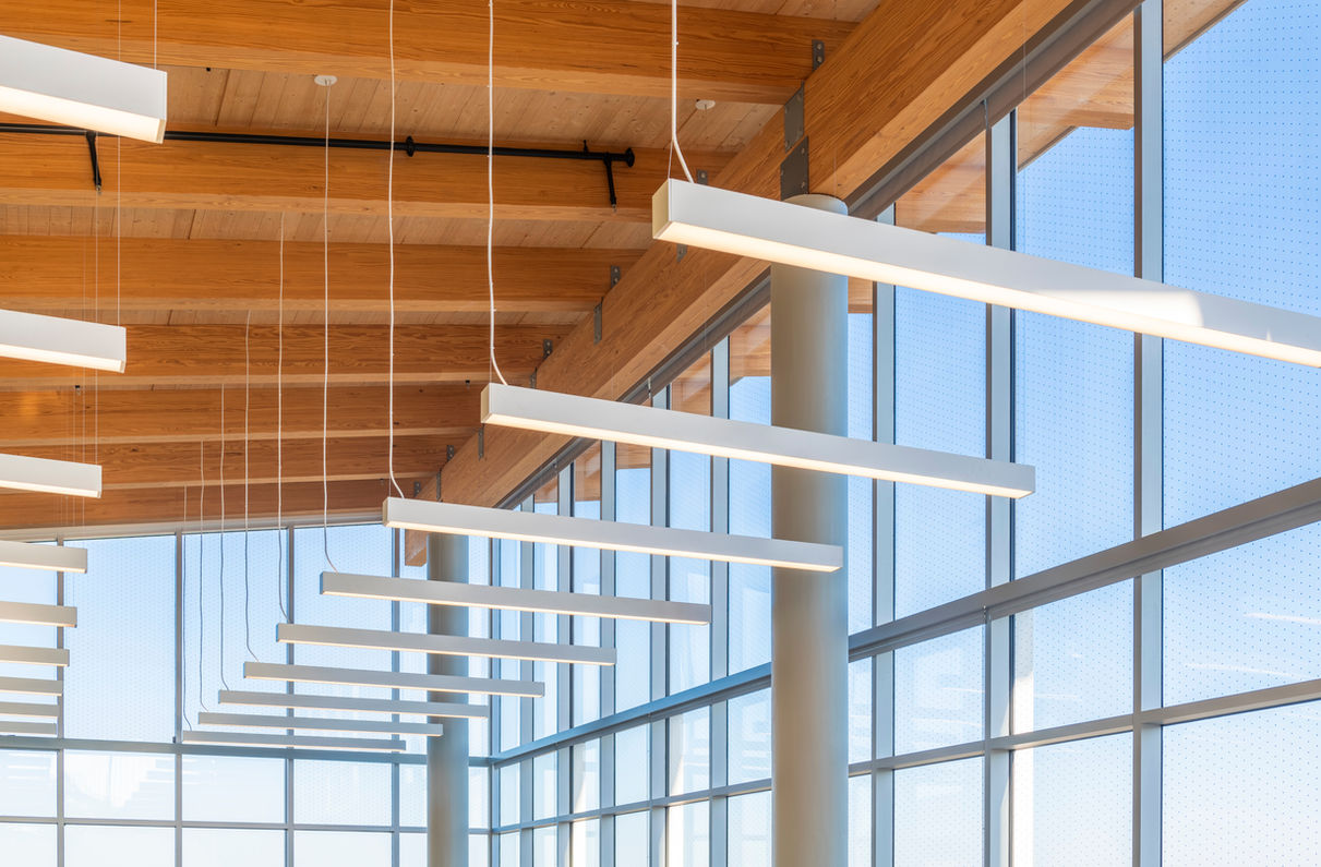 A detailed view of the ceiling at the Calvert Library, Twin Beaches Branch, showcasing exposed timber beams, suspended linear light fixtures, and large glass windows with perforated panels allowing natural light to filter through.