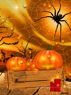 animatedSpiderWeb - Copy.gif