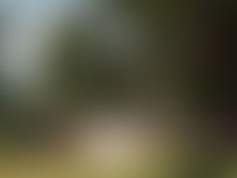 Un mariage intime et raffiné : Manon & Xavier, garden party en plein été