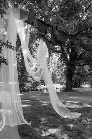 Cérémonie laïque dans un parc baigné de soleil en plein été