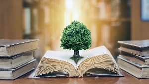 Vocabulary flashcards for 'Knowledge and Wisdom'