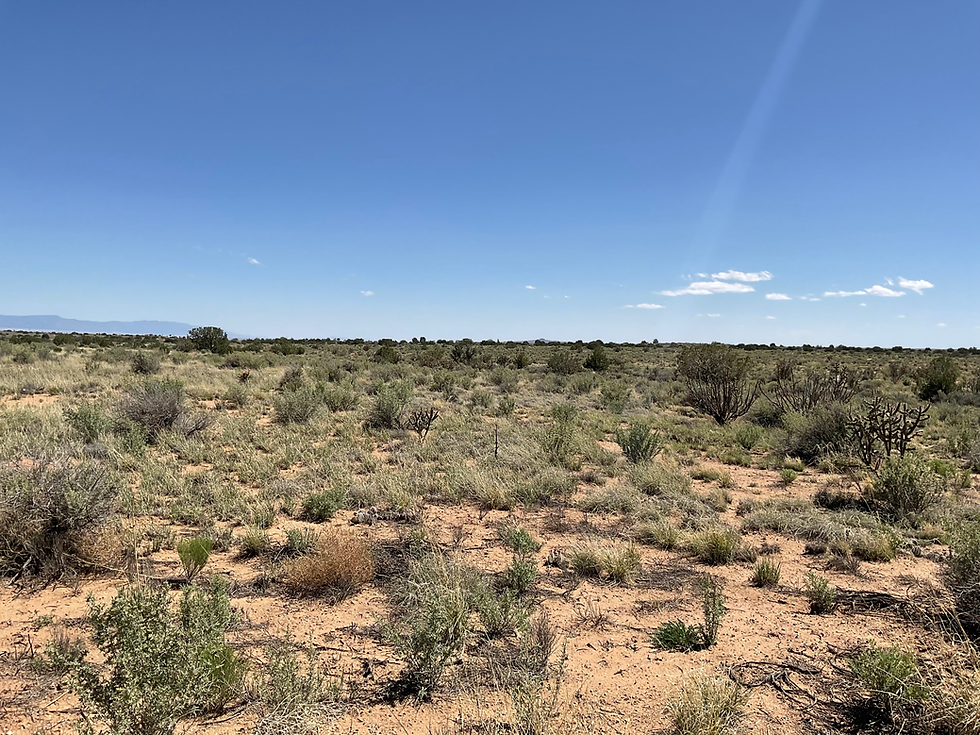Thumbnail: Buy land in Albuquerque NM – Falcon Real Estate