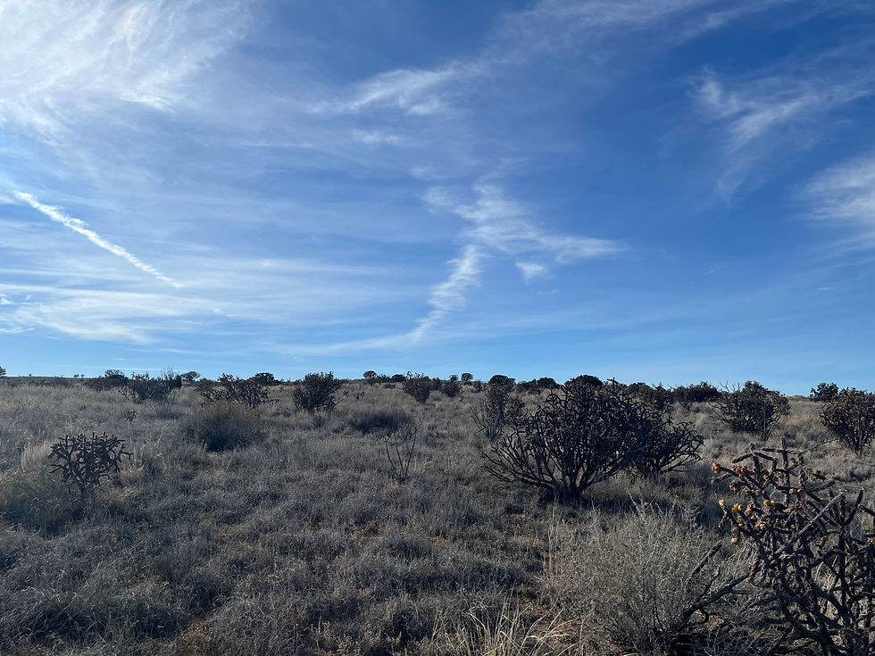 Miniatura: Lote n.° 77, Vista Rd NW y King Blvd NW, Rio Rancho, NM 87144