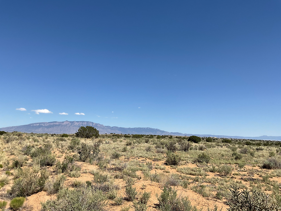 Thumbnail: Land for sale in New Mexico - Falcon Land