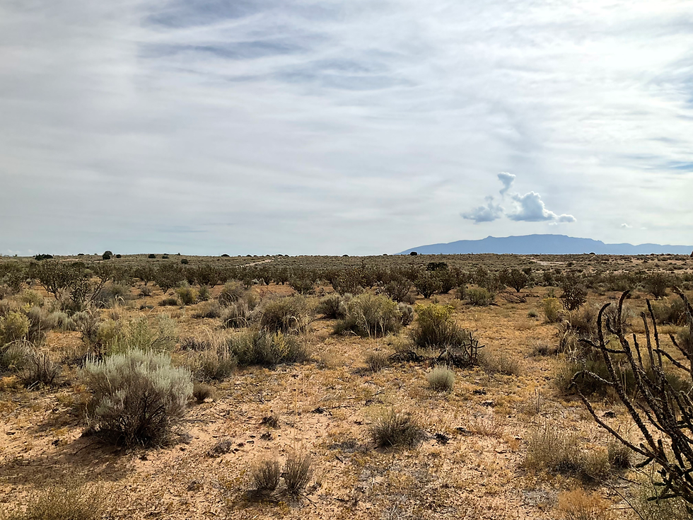 Miniatura: Sandia Blvd e Hidalgo Rd SW, Rio Rancho, NM 87124