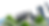 Sanford-WIXBG.png