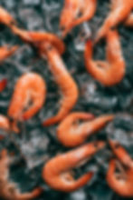 High-quality frozen shrimp for export by Nakhwa Global – premium Indian seafood supplier