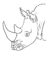MWC Rhinoceros Line Art 8x10.jpg