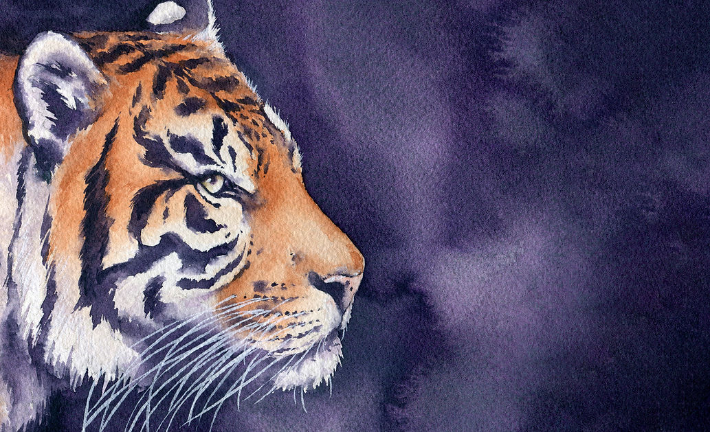 Tiger Banner_edited.jpg